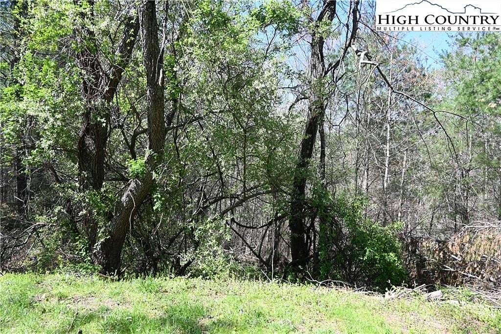 0.48 Acres of Residential Land for Sale in Crumpler, North Carolina