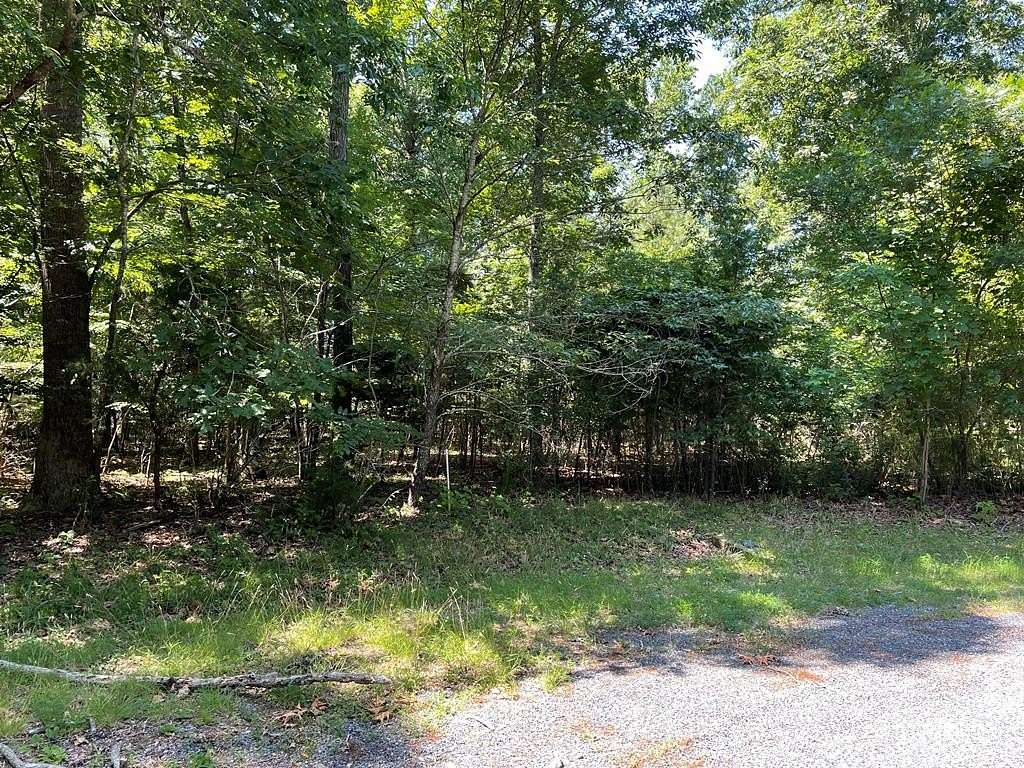 0.28 Acres of Residential Land for Sale in Greenbackville, Virginia