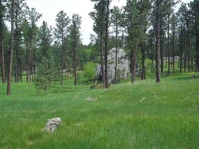 2.82 Acres of Residential Land for Sale in Custer, South Dakota