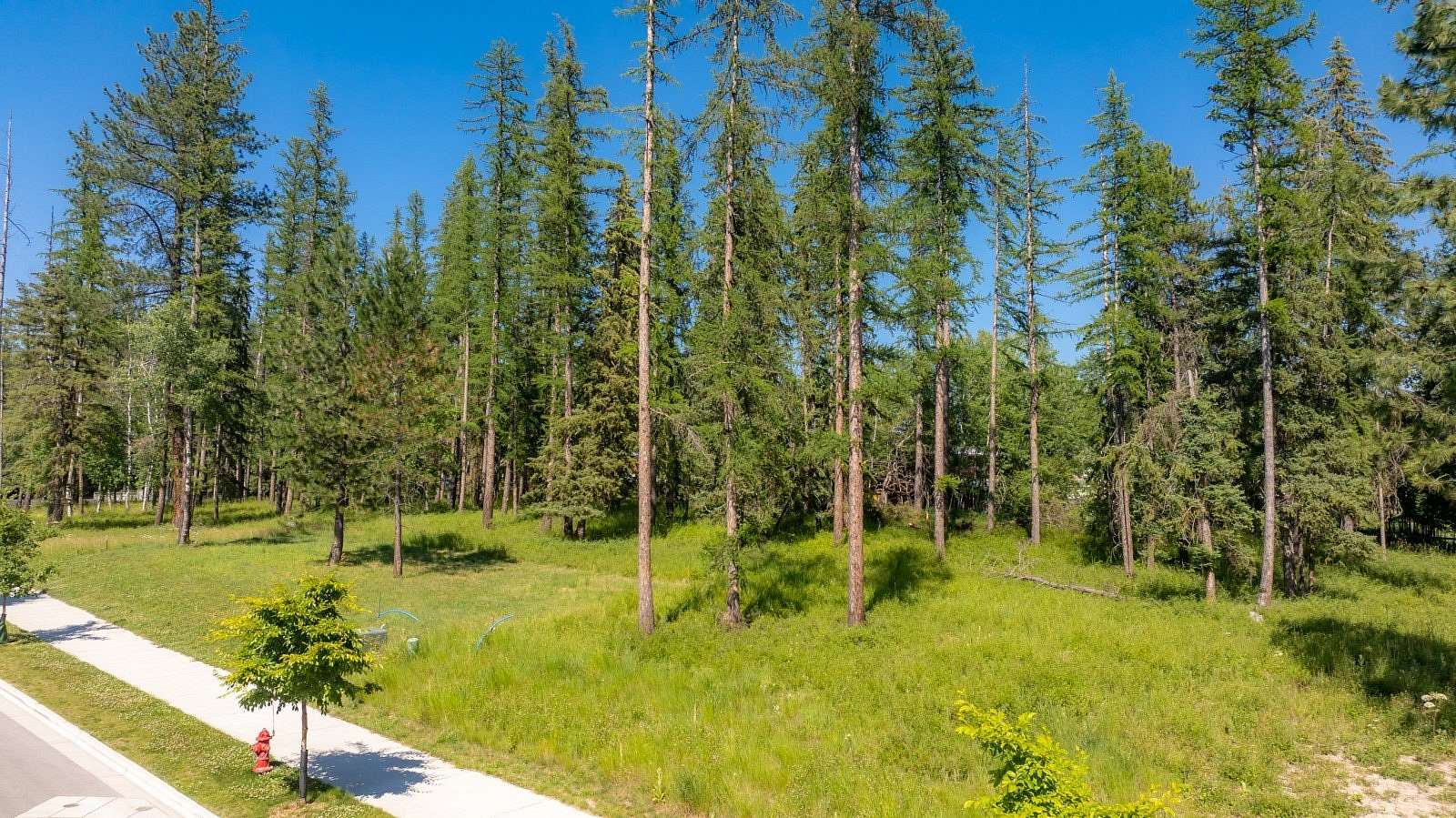 0.34 Acres of Residential Land for Sale in Whitefish, Montana