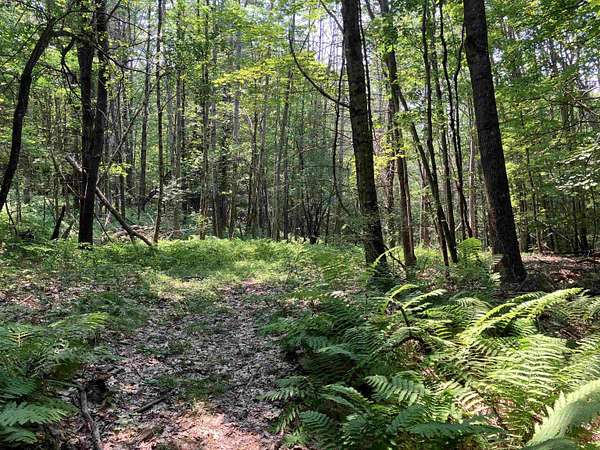 21 Acres of Land for Sale in Claremont, New Hampshire