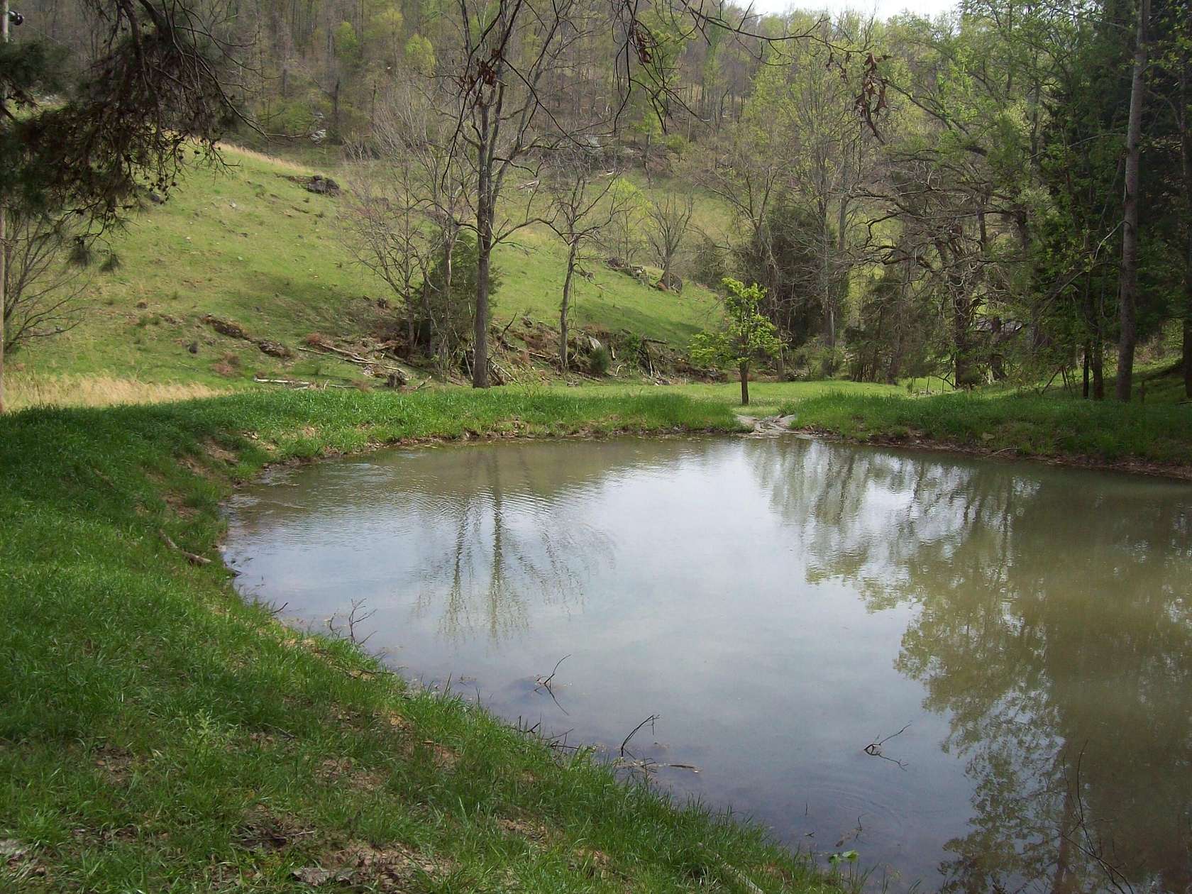 63.9 Acres of Recreational Land for Sale in Tazewell, Tennessee