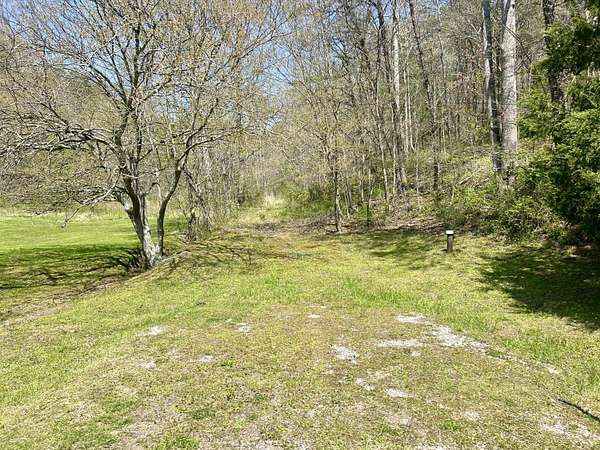 40 Acres of Land for Sale in Hinkle, Kentucky