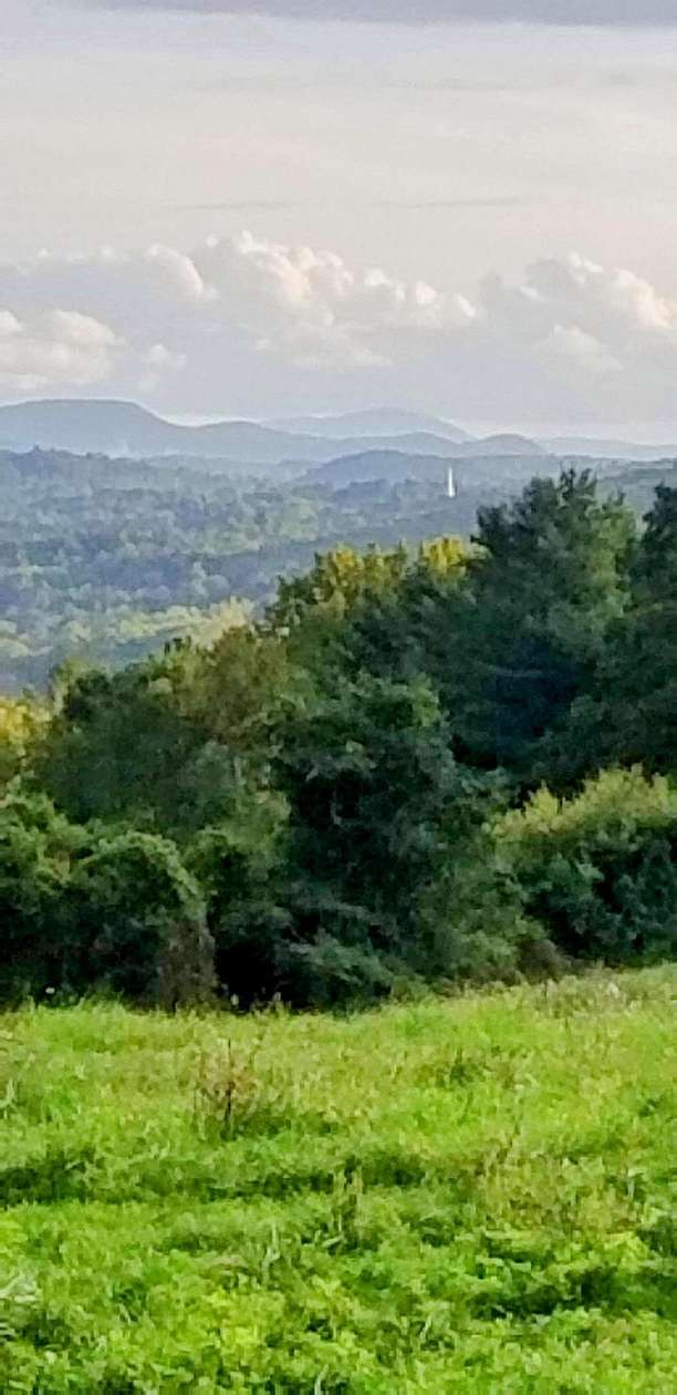136 Acres of Land for Sale in Manchester, Vermont