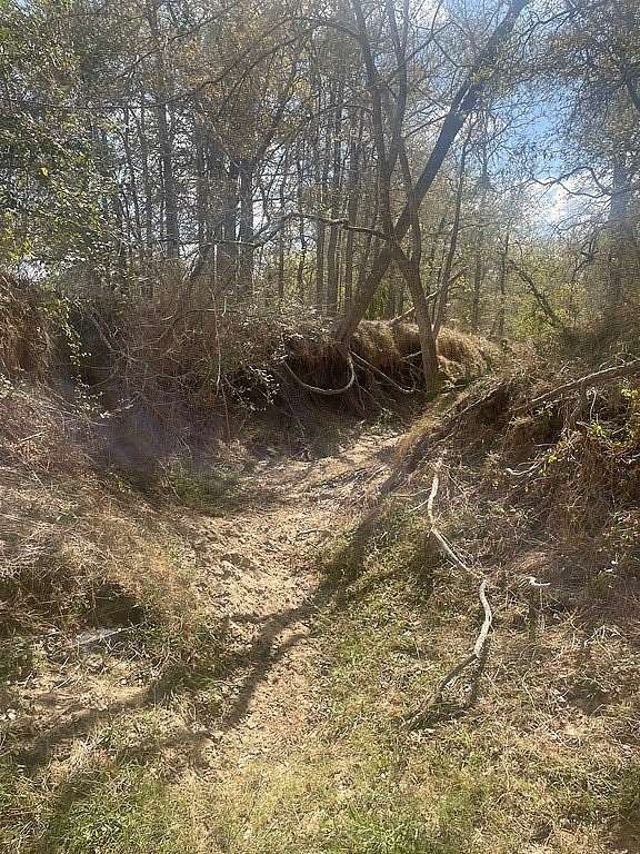 29 Acres of Land for Sale in Waelder, Texas