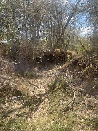 29 Acres of Land for Sale in Waelder, Texas