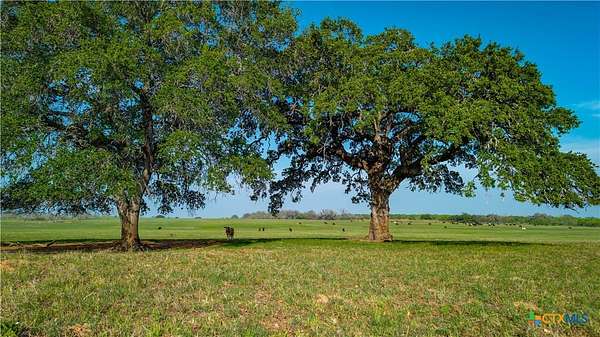 103 Acres of Land for Sale in Floresville, Texas
