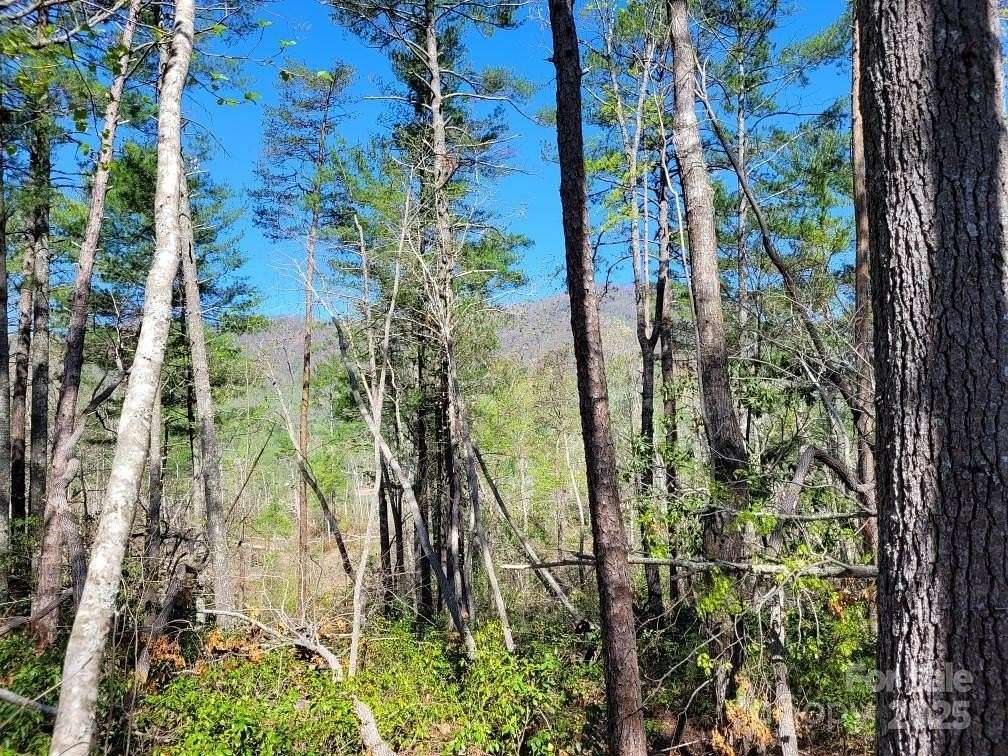 1.1 Acres of Residential Land for Sale in Marion, North Carolina