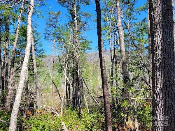 1.1 Acres of Residential Land for Sale in Marion, North Carolina