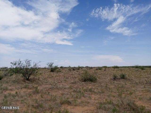 20.2 Acres of Recreational Land for Sale in Fort Hancock, Texas
