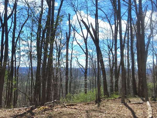 5 Acres of Residential Land for Sale in Hillsboro, West Virginia