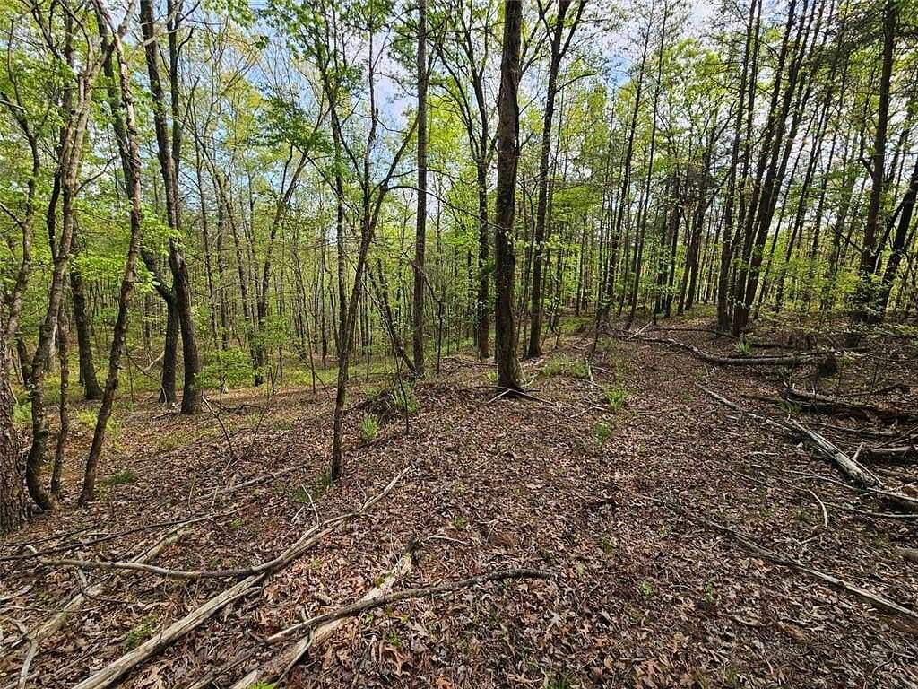 95.9 Acres of Agricultural Land for Sale in Jasper, Georgia