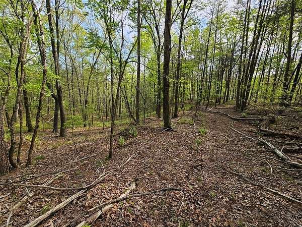 95.9 Acres of Agricultural Land for Sale in Jasper, Georgia