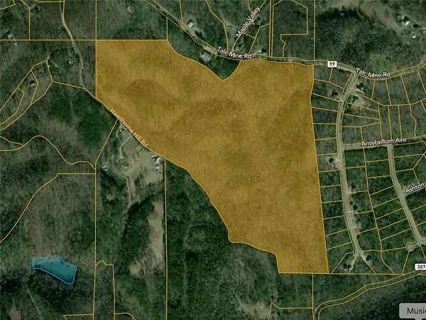 95.9 Acres of Agricultural Land for Sale in Jasper, Georgia