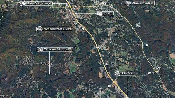 95.9 Acres of Agricultural Land for Sale in Jasper, Georgia