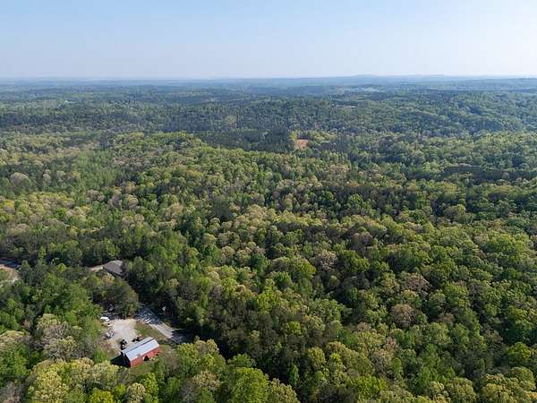 95.9 Acres of Agricultural Land for Sale in Jasper, Georgia