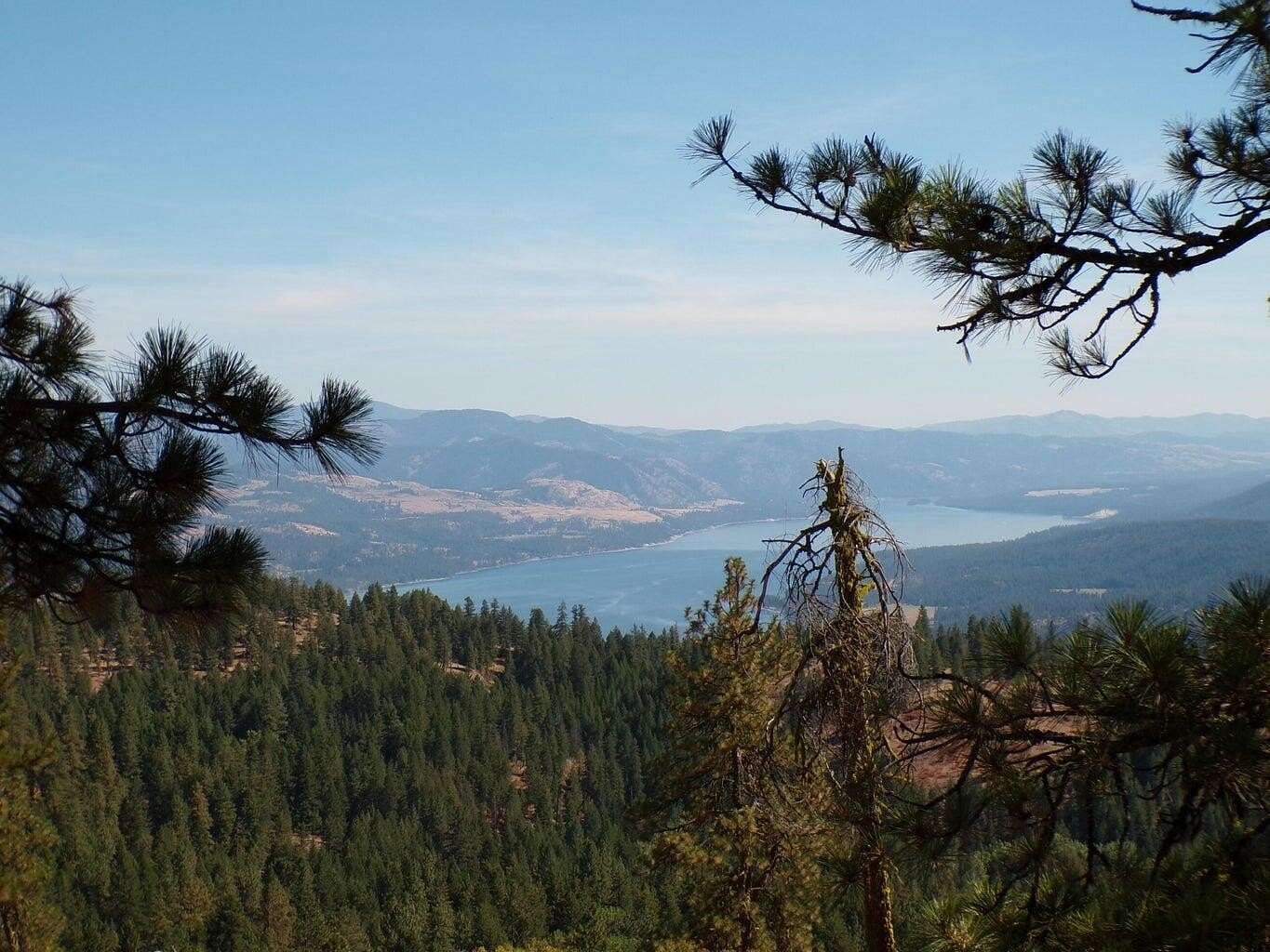20 Acres of Recreational & Residential Land for Sale in Inchelium, Washington
