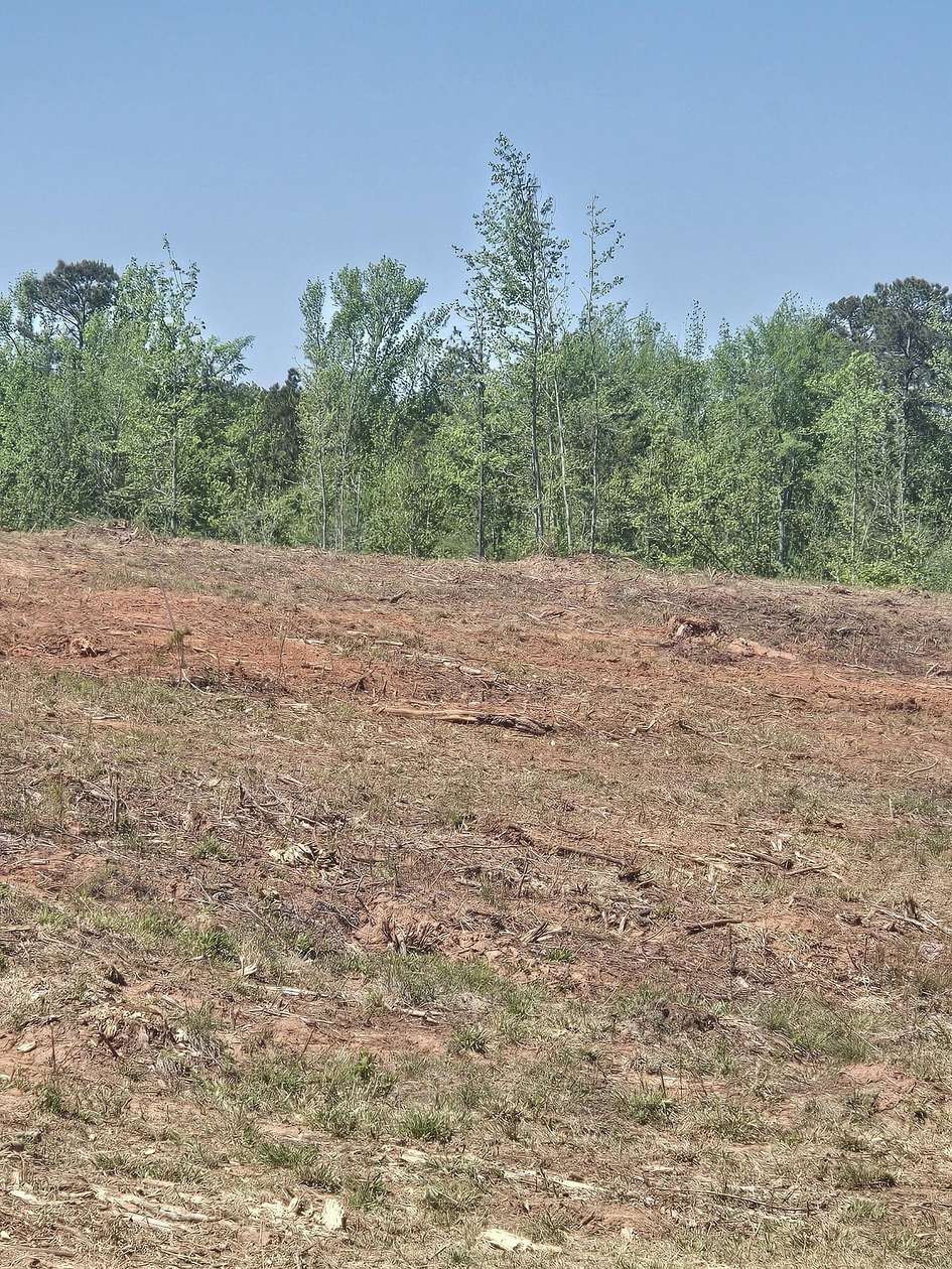 15 Acres of Land for Sale in Lincolnton, Georgia
