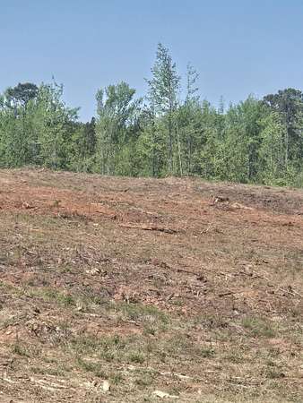 15 Acres of Land for Sale in Lincolnton, Georgia