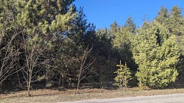 0.36 Acres of Land for Sale in Bear Lake, Michigan