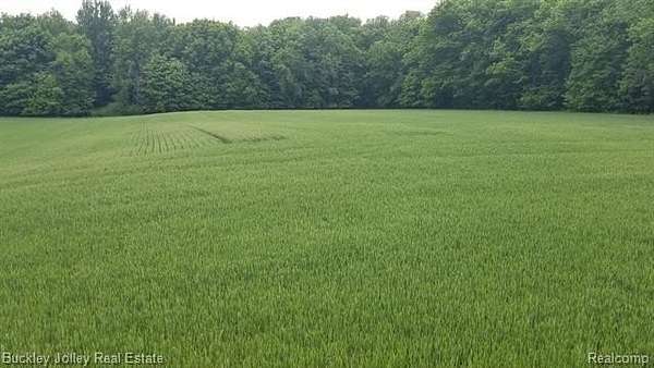 40 Acres of Land for Sale in Webberville, Michigan
