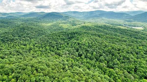 23.8 Acres of Recreational Land for Sale in Jasper, Georgia