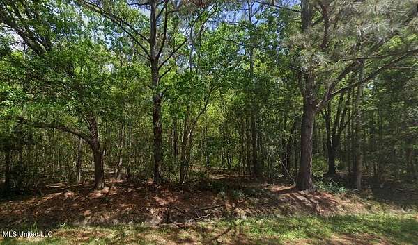 1.5 Acres of Residential Land for Sale in Bay St. Louis, Mississippi