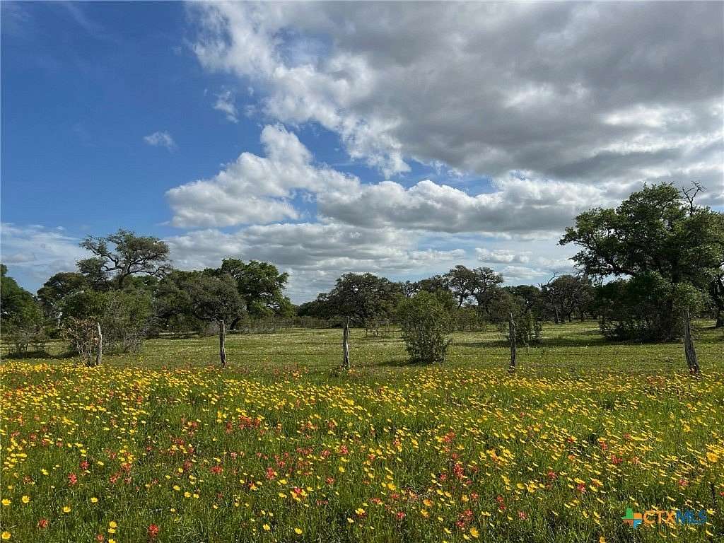 55.8 Acres of Recreational Land for Sale in Yoakum, Texas