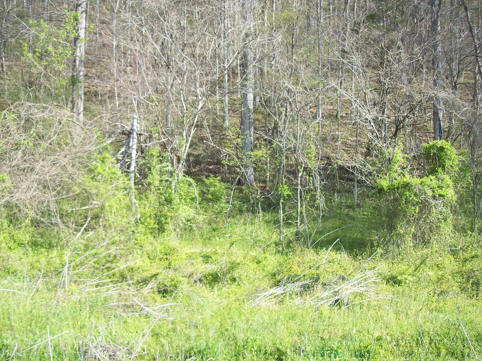 45 Acres of Recreational Land for Sale in Sneedville, Tennessee