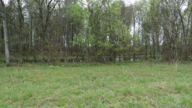20.3 Acres of Recreational Land & Farm for Sale in Moss, Tennessee