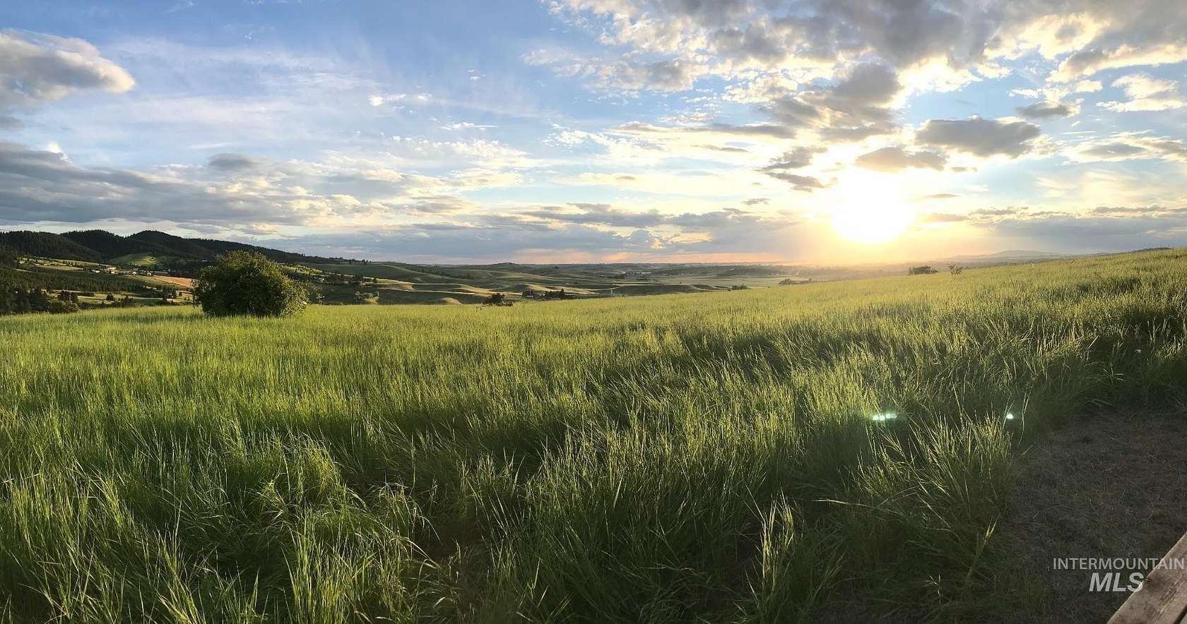 54.7 Acres of Land for Sale in Moscow, Idaho