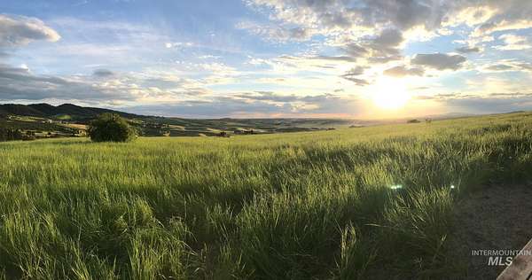 54.7 Acres of Land for Sale in Moscow, Idaho