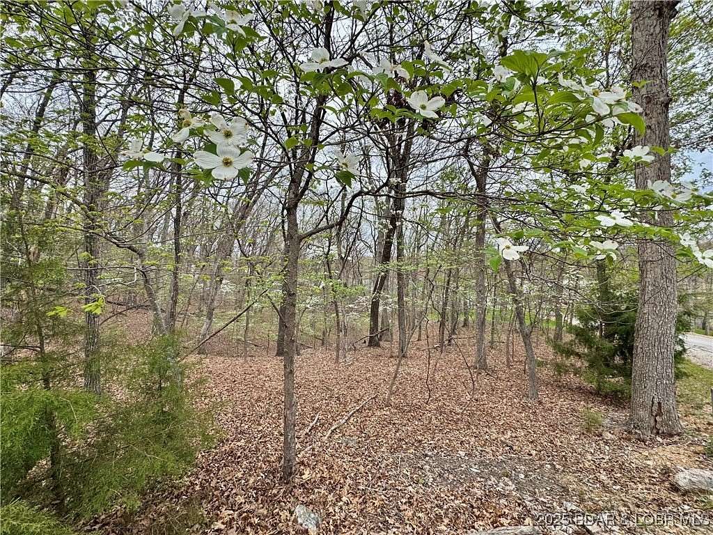 0.23 Acres of Residential Land for Sale in Lake Ozark, Missouri