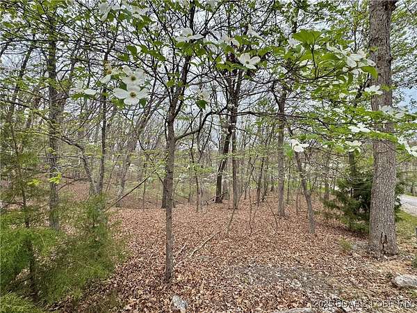 0.23 Acres of Residential Land for Sale in Lake Ozark, Missouri