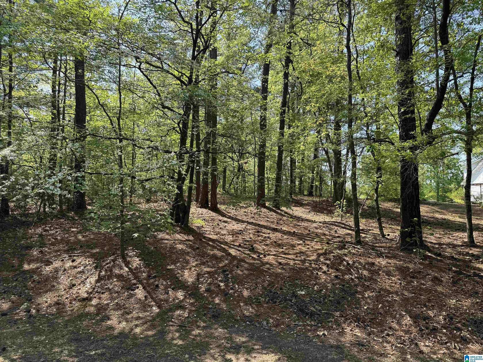3.1 Acres of Residential Land for Sale in Sterrett, Alabama