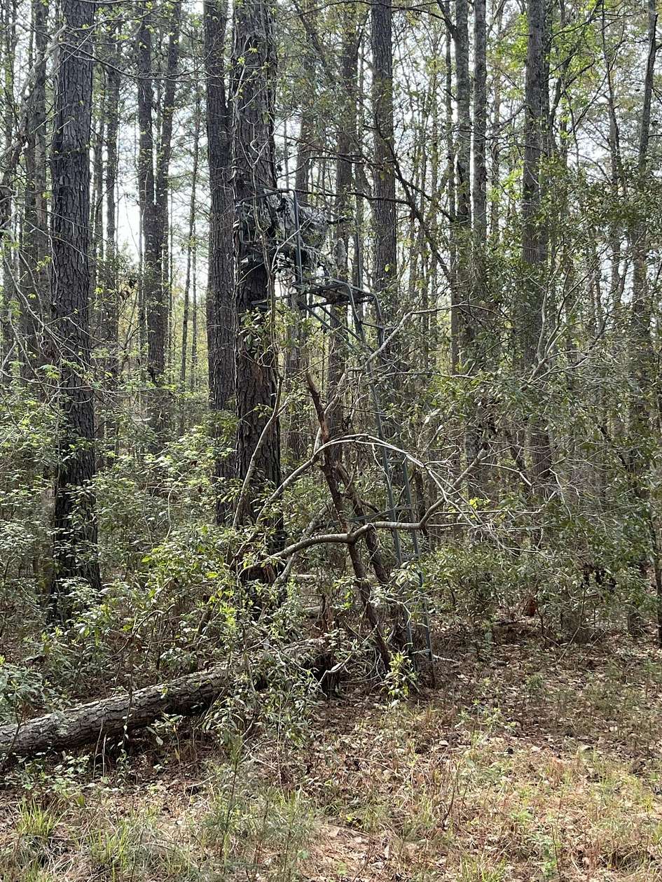 9.3 Acres of Residential Land for Sale in Reevesville, South Carolina