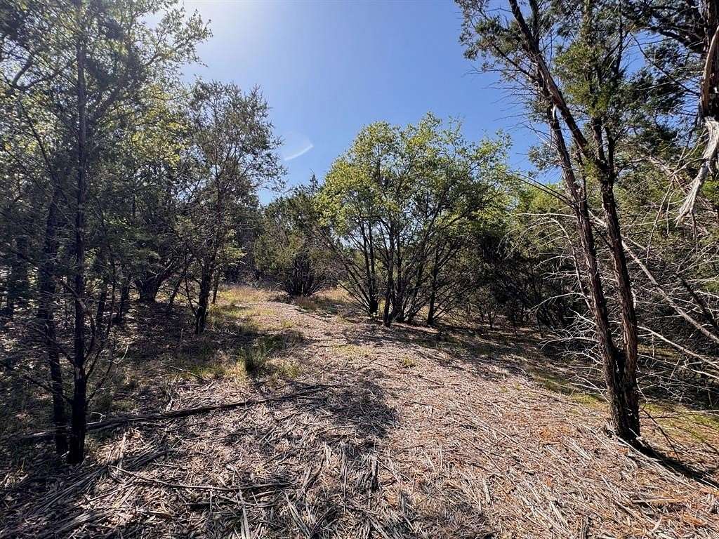 1 Acre of Residential Land for Sale in Glen Rose, Texas