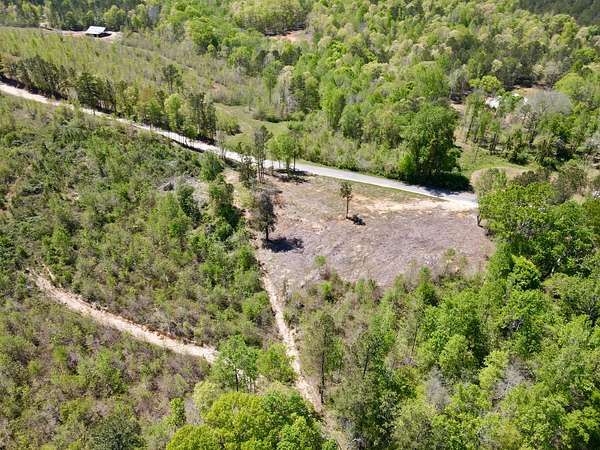 20 Acres of Land for Sale in Ashland, Alabama