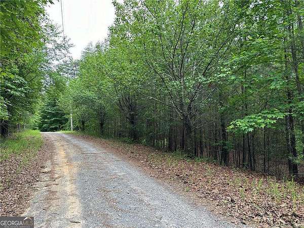1 Acre of Residential Land for Sale in Ranger, Georgia