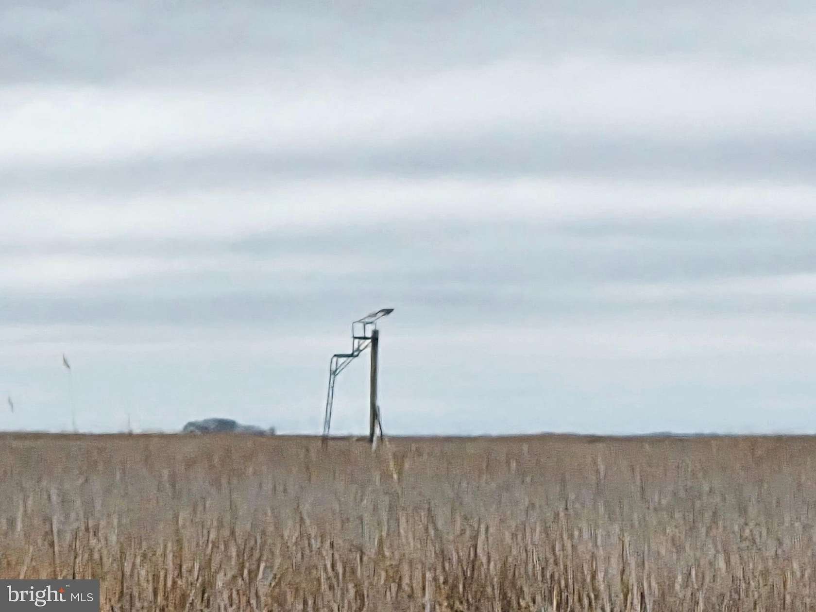 50.8 Acres of Land for Sale in Crapo, Maryland