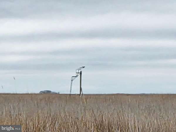 50.8 Acres of Land for Sale in Crapo, Maryland