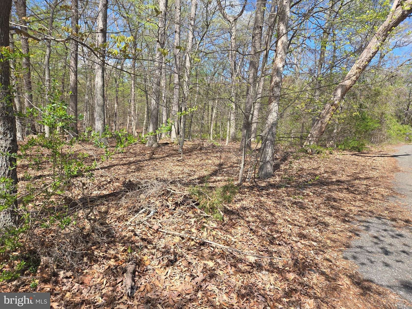 8.8 Acres of Mixed-Use Land for Sale in Accokeek, Maryland