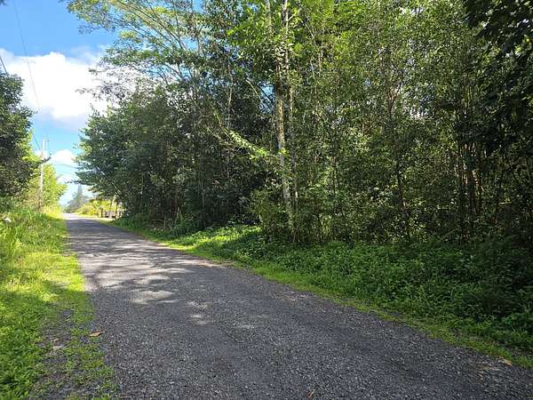 1 Acre of Residential Land for Sale in Keaau, Hawaii