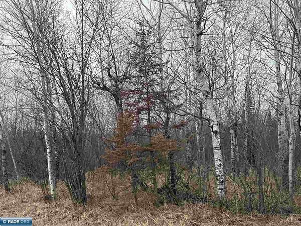5 Acres of Residential Land for Sale in Eveleth, Minnesota