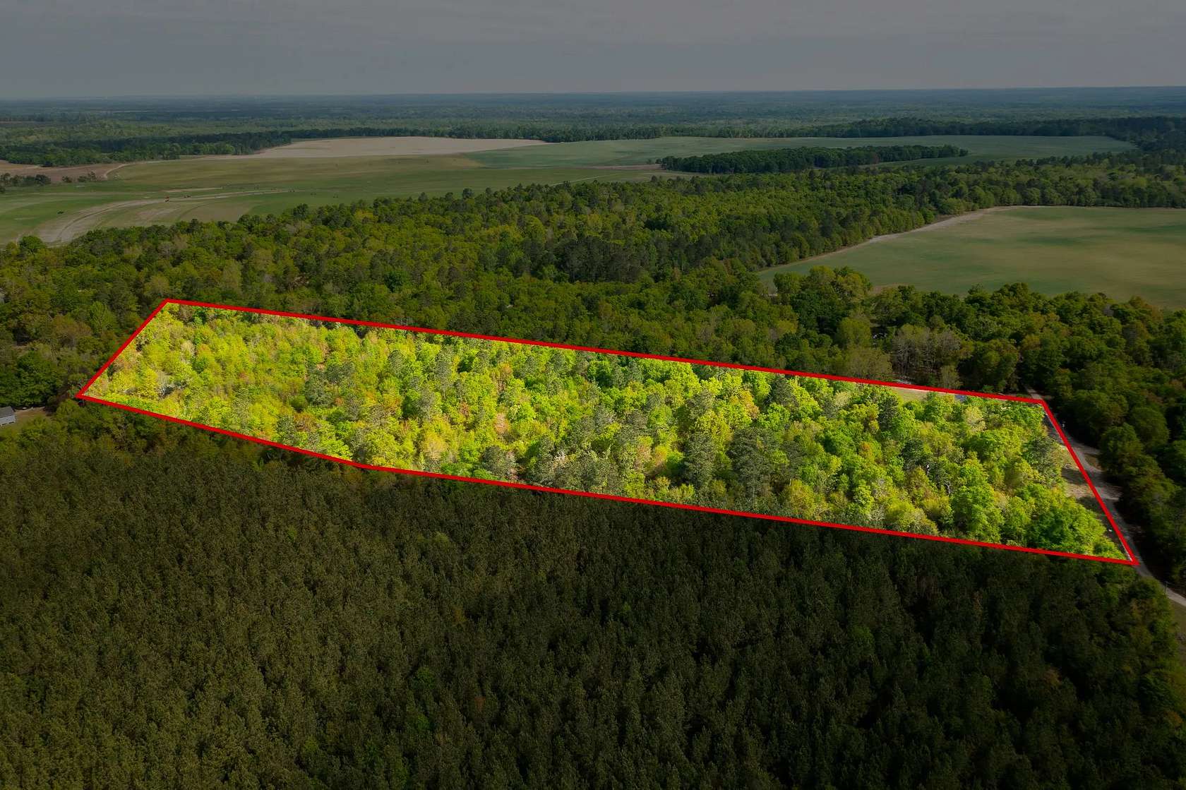 11.4 Acres of Land for Sale in Shell Bluff, Georgia