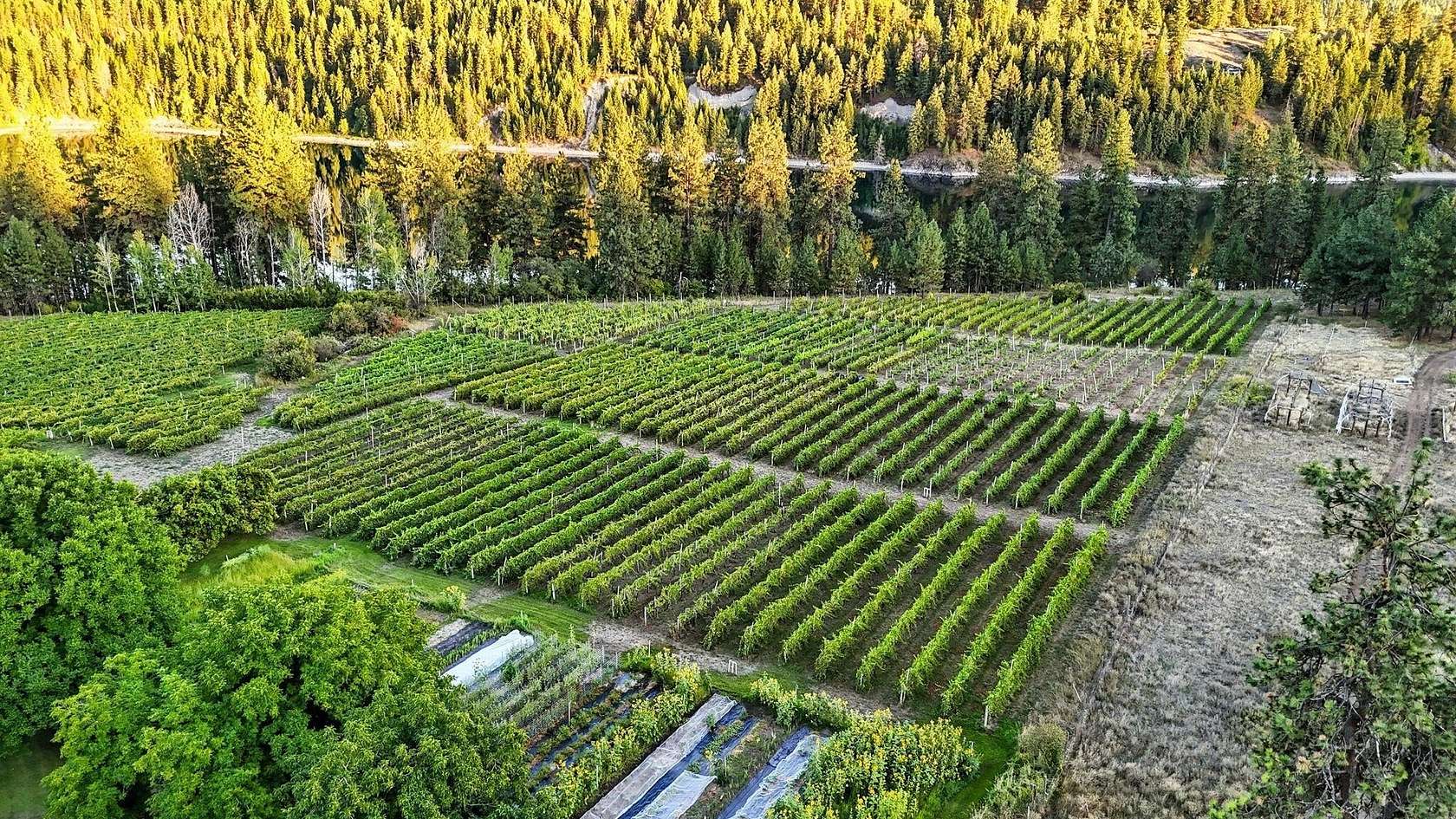 18.5 Acres of Land for Sale in Kettle Falls, Washington