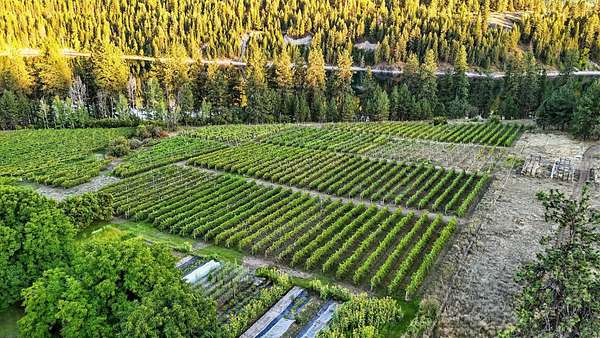 18.5 Acres of Land for Sale in Kettle Falls, Washington