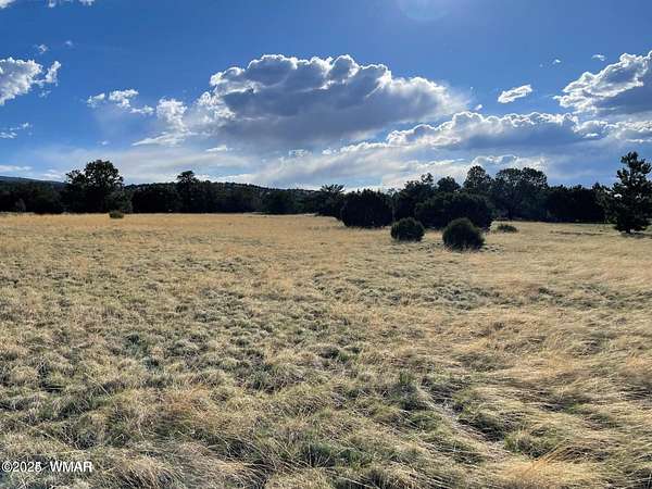 1.42 Acres of Residential Land for Sale in Eagar, Arizona