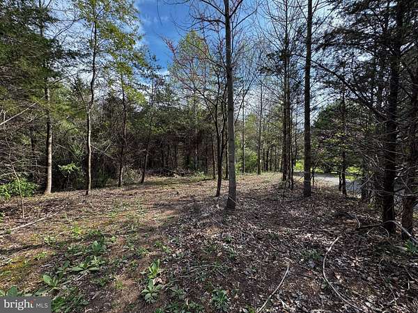 8.86 Acres of Residential Land for Sale in Castleton, Virginia