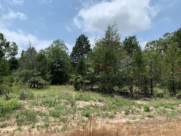 45.7 Acres of Recreational Land for Sale in Athens, Texas